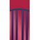 CLERMONT FOOT 63 DOMICILE