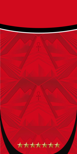 COQUE EGYPTE DOMICILE