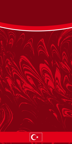 COQUE TURQUIE DOMICILE