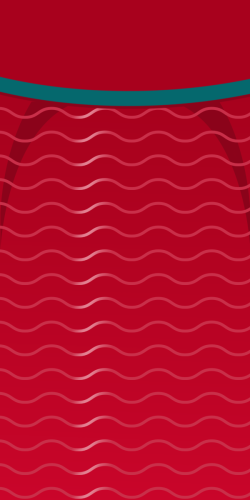 COQUE PORTUGAL COUPE DU MONDE 2026 DOMICILE