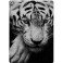 Coque iPad 11 A16 personnalisée