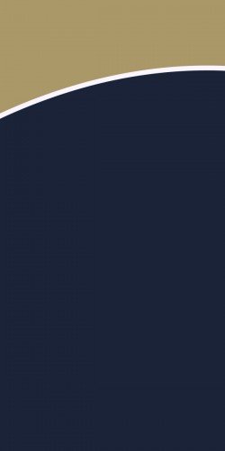 PELICANS NOUVELLE ORLEANS