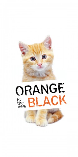 Coque Orange is the new black