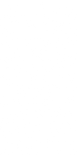 Coque Mandala Floral 1