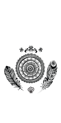 Coque Mandala Plumes