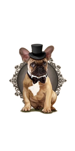 Coque Mister Bouledogue