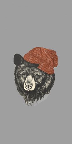 Coque Ours Bonnet