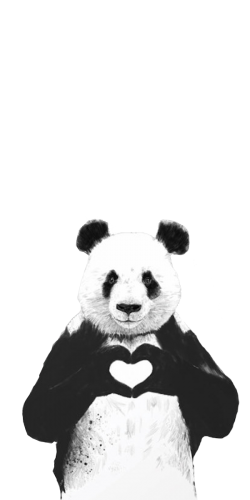 Coque Panda Coeur 