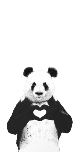 Coque Panda Coeur