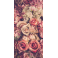 Coque Roses I