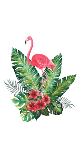 Coque Flamand Rose Tropical