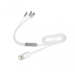 Pour la famille : Câble de charge 3 en 1 : Micro USB + Apple Lightning + Type C