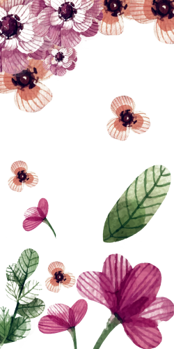 Coque fleurs &agrave; fond transparent III