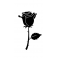 Coque Rose Noire 