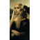 Coque Daenarys La Joconde Mona Lisa