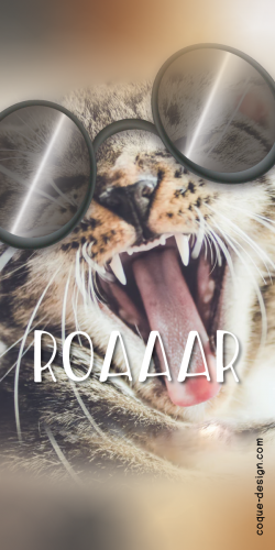 Coque Chat avec Rayban