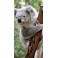Coque Save Koala Australie 