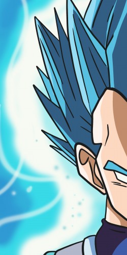 Coque Manga Vegeta