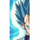 Coque Manga Vegeta