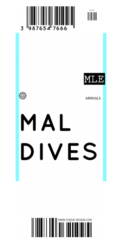 Coque Maldives billet d\'avion