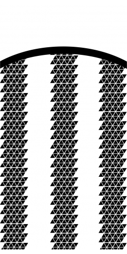 COQUE JUVENTUS TURIN DOMICILE 
