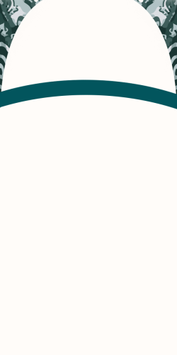 AUSTRALIE RUGBY EXTERIEUR AUSTRALIE RUGBY EXTERIEUR