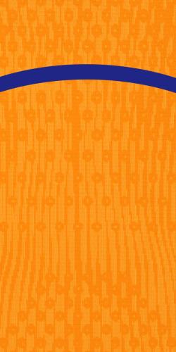 PAYS-BAS DOMICILE euro 2024