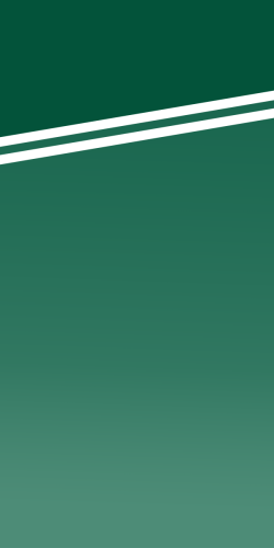 Coque BOSTON CELTICS