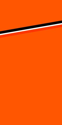 LE MANS SARTHE BASKET