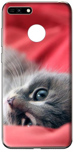coque loup huawei y6 2018